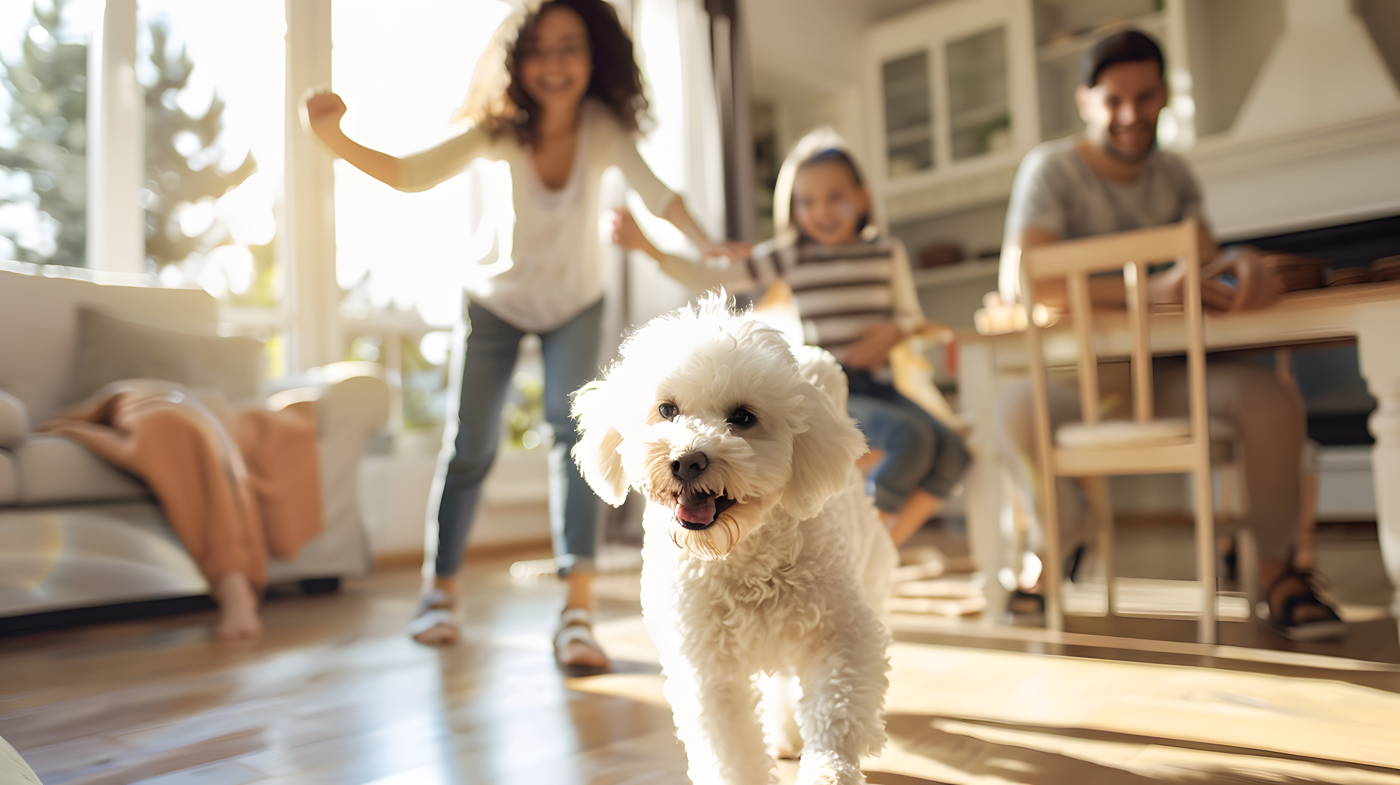 Multi Split System Heat Pumps